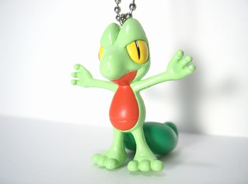 ポケモン図鑑 キモリ（グッズ）