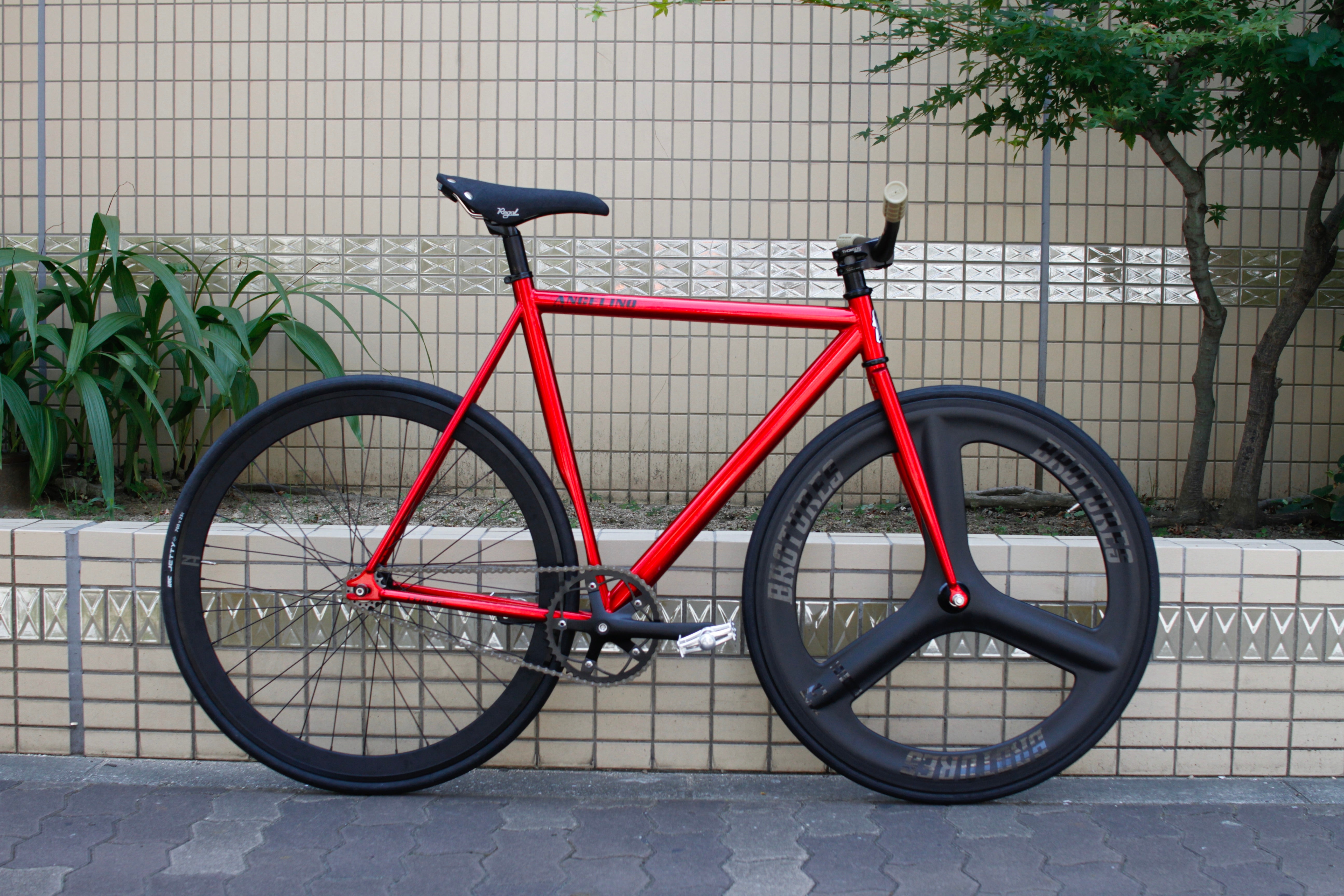 MG_6005.jpg?v=1690256587