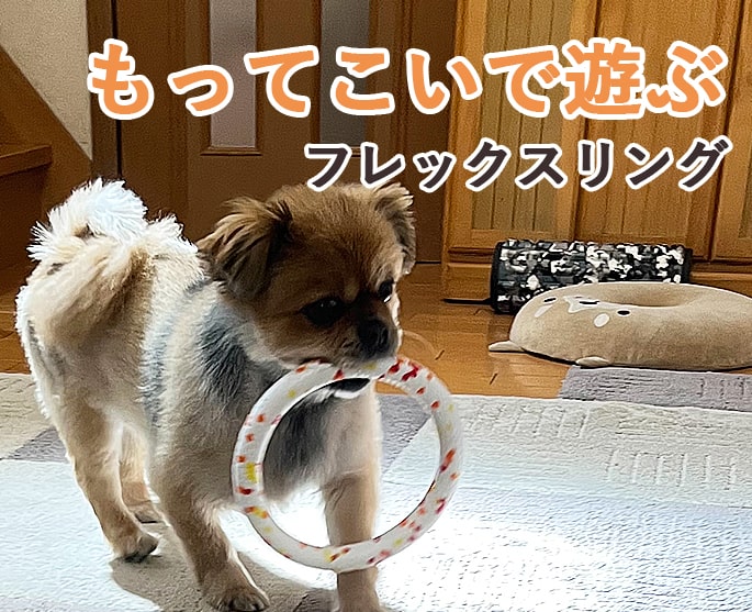犬用おもちゃ フレックスボール 犬のおもちゃ帝塚山ハウンドカム