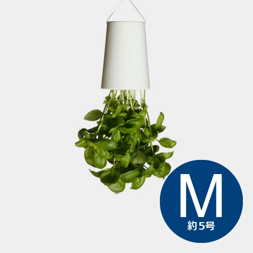 無題ドキュメント