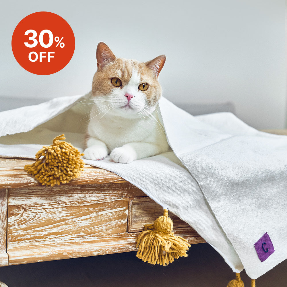 モロッコ キャットサイズポンポンブランケット – iamacatjp