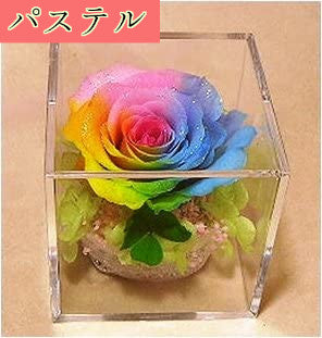 四つ葉のクローバー＆虹色の薔薇 レインボーローズ1輪 プリザーブド