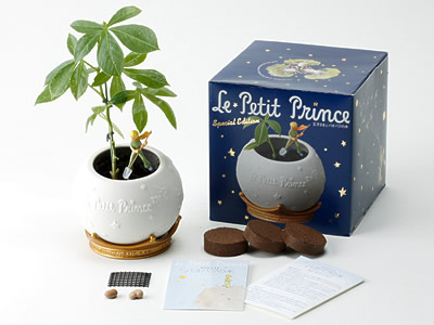 星の王子さまバオバブの木(スペシャルエディション)」栽培キット花の