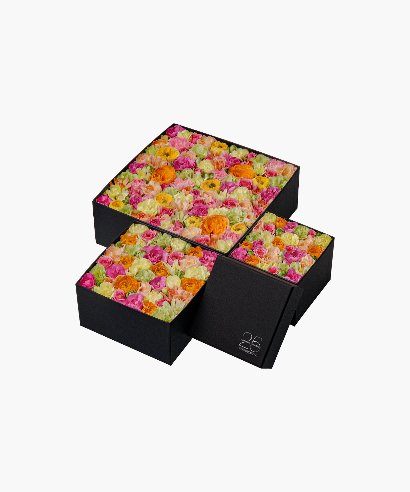 Colorful Journey (カラフル ジャーニー)