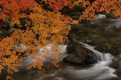 花園渓谷(茨城県)登山徹底ガイド！難易度レベル22(初級）