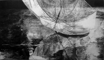 PEELER／安冨洋貴インタビュー