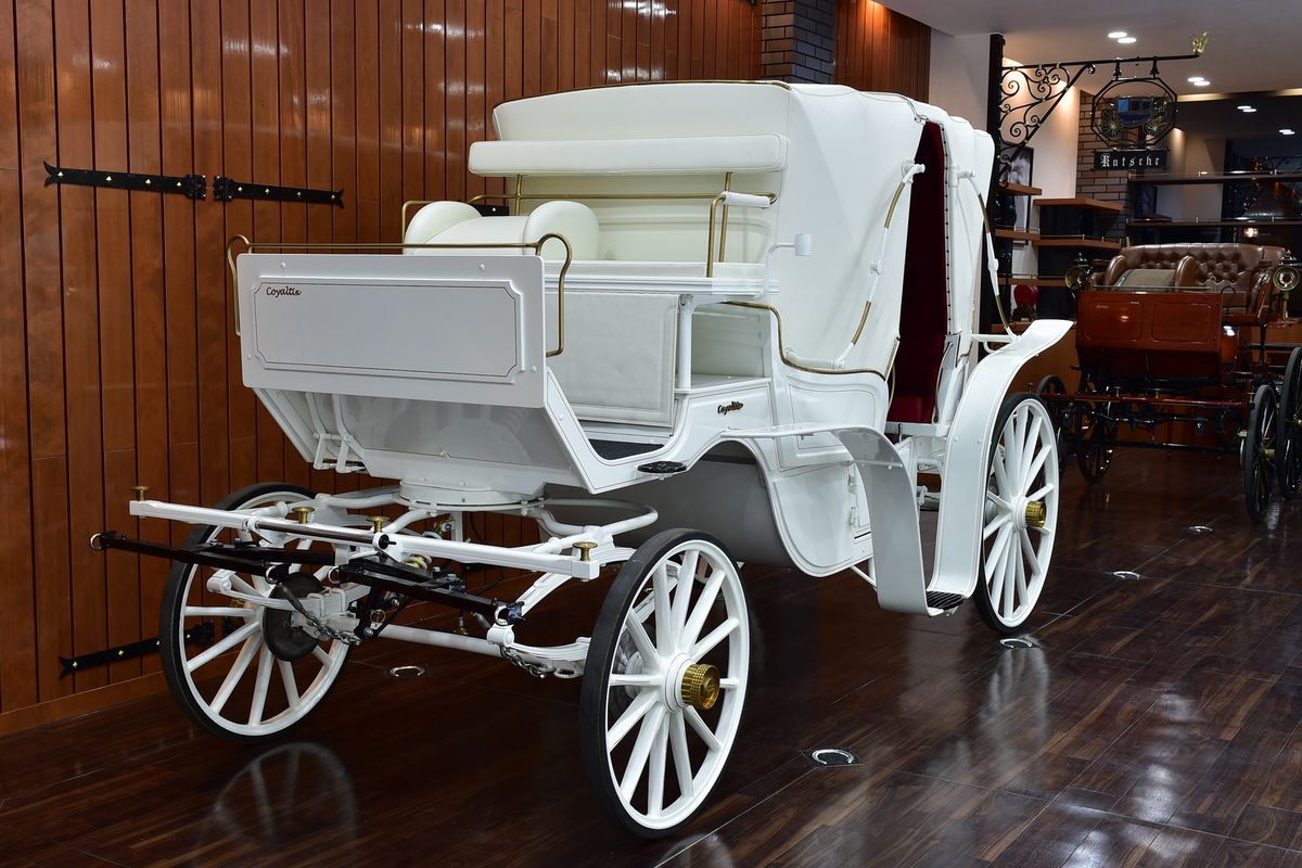 ヴィザヴィーVS2|馬車屋ドットコム