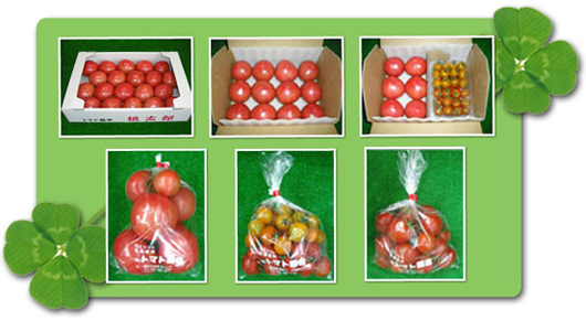 花とトマトの専門店 トマト園芸 レイクタウンそば