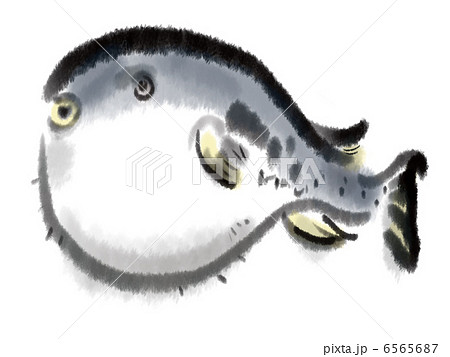 ふぐのイラスト素材 [6565687] - PIXTA