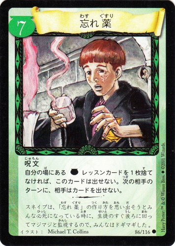 ハリー・ポッター トレーディングカードゲーム(19 枚)