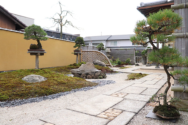 ニュートラルな気持ちで「今」盆栽に向き合う「中西珍松園」 | 高松盆栽