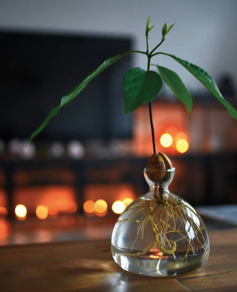 アイレックス スタジオ アボカド ガラス花瓶 スモーク グレー - ILEX