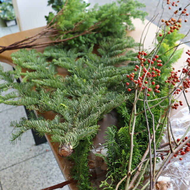 楽天市場】ヒバ クリスマスの通販