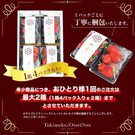 フルーツ :: 幻の濃厚いちご「神前ストロベリー」（1箱/4パック） 3月