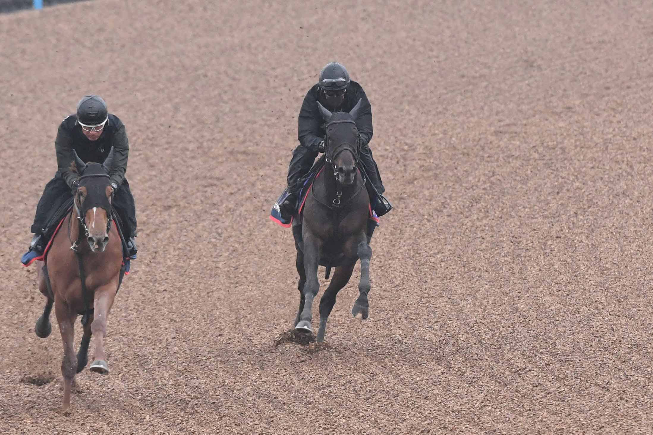 天皇賞春・1週前追い切り】ヘデントールは〝生涯イチ〟の猛時計