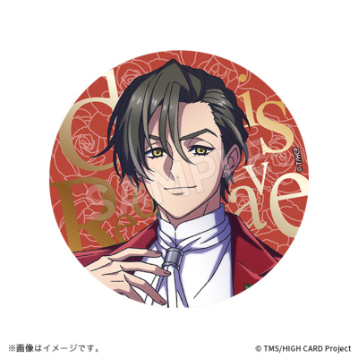 HIGH CARD 描き下ろし缶バッジコレクション パーティーver.【BOX】(全