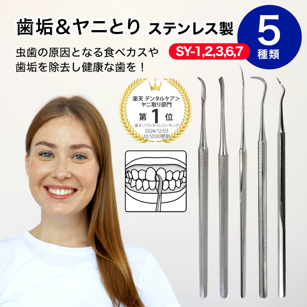 楽天市場】歯垢＆ヤニとり ステンレス デンタルケア 5種類 北正