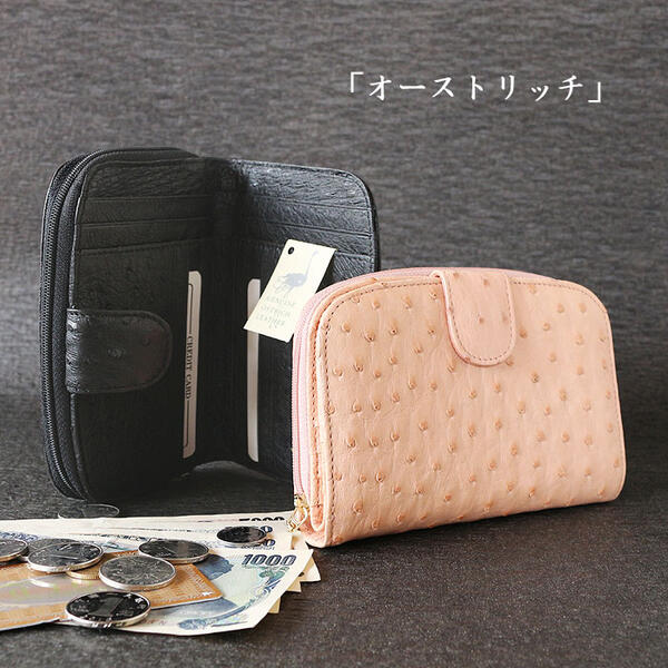 楽天市場】2つ折り財布 オーストリッチ 被せ 折りたたみ財布