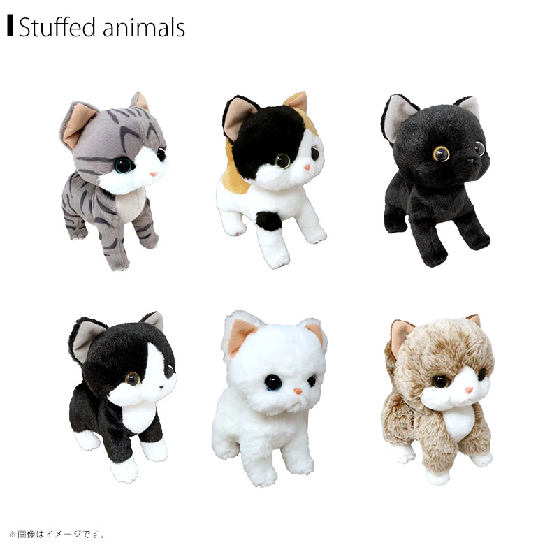 楽天市場】いっしょがいいね ぬいぐるみ【全6種】猫 シロ ミックス