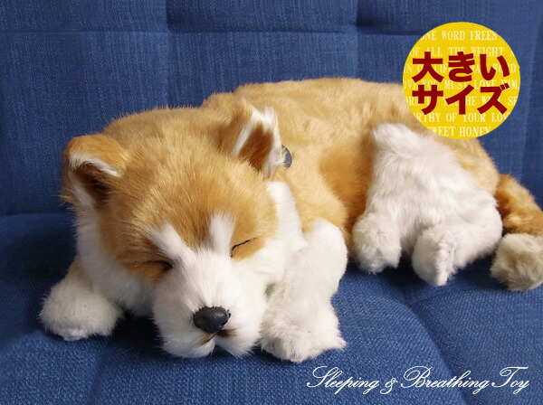 楽天市場】眠るように呼吸する パーフェクトペット (大サイズ) 柴犬