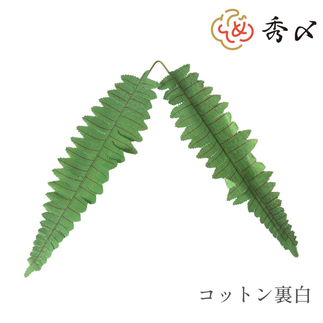 楽天市場】秀〆 正月飾り 材料 10個入り 裏白 コットンウラジロ（大