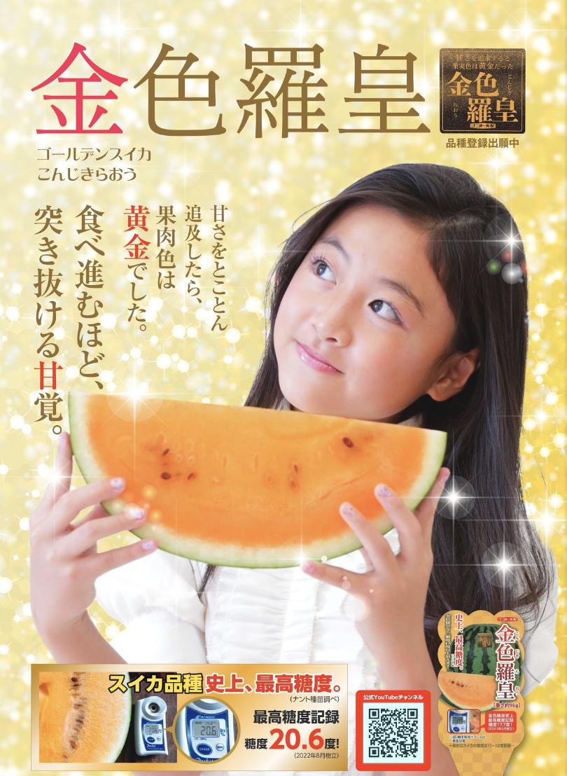 楽天市場】スイカ 種 金色羅皇 【15粒】 ナント種苗 すいか ラオウ