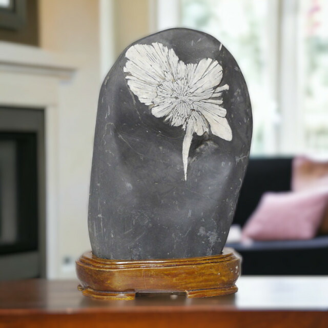 天然菊花石 大輪 台座付 大型8.5kg 鑑賞石 原石 水石 盆石 紋石
