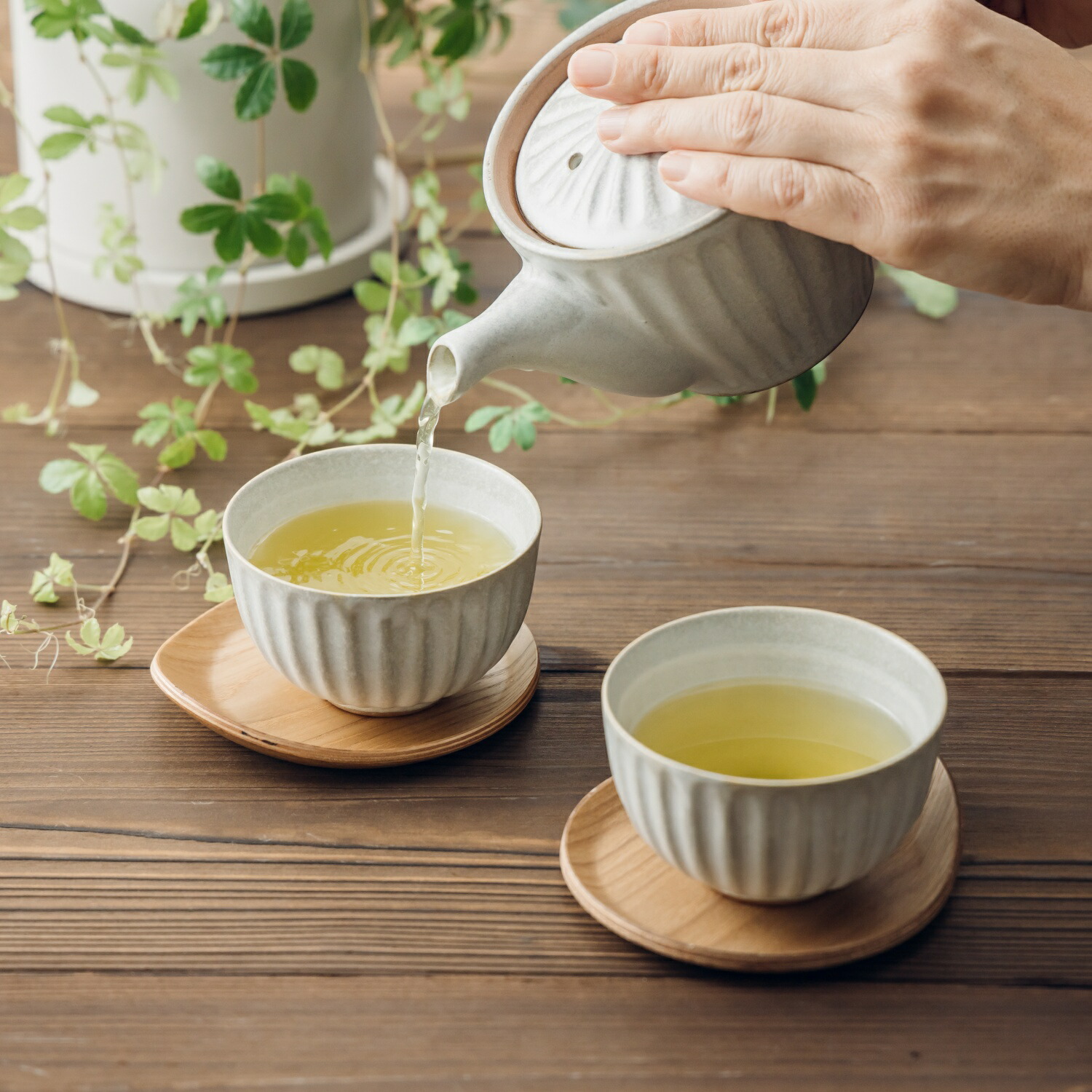 楽天市場】ポット茶器セット 粉引グレー 菊型 送料無料 来客用