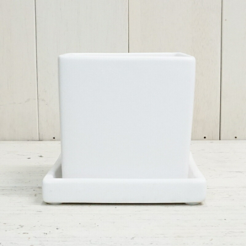 楽天市場】植木鉢 おしゃれ 陶器鉢 オストキューブS＜ 11cm 白 マット