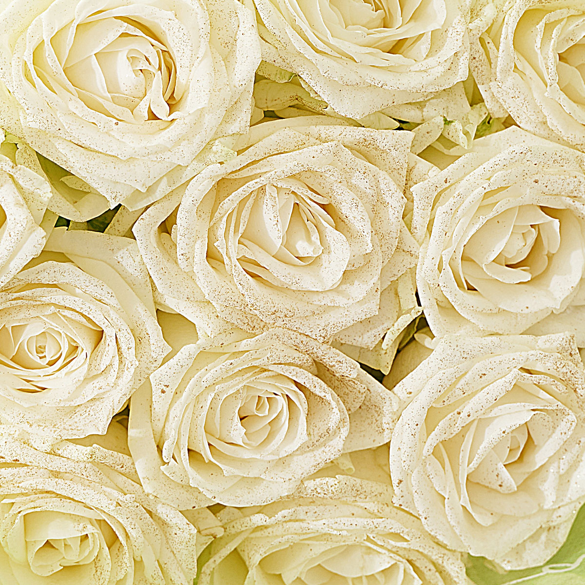 楽天市場】【送料無料】花束・ブーケ ゴールドラメ仕様（18金/K18）白