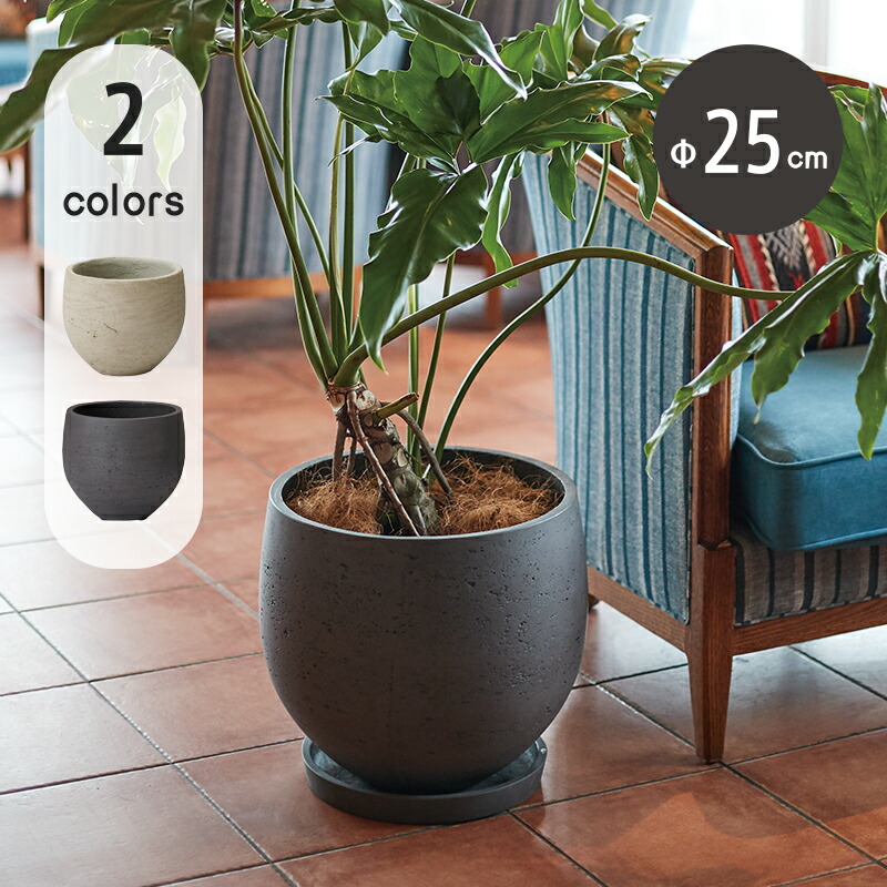 楽天市場】カッソル オーブ 8号 ≪植木鉢 中型 軽量 おしゃれ