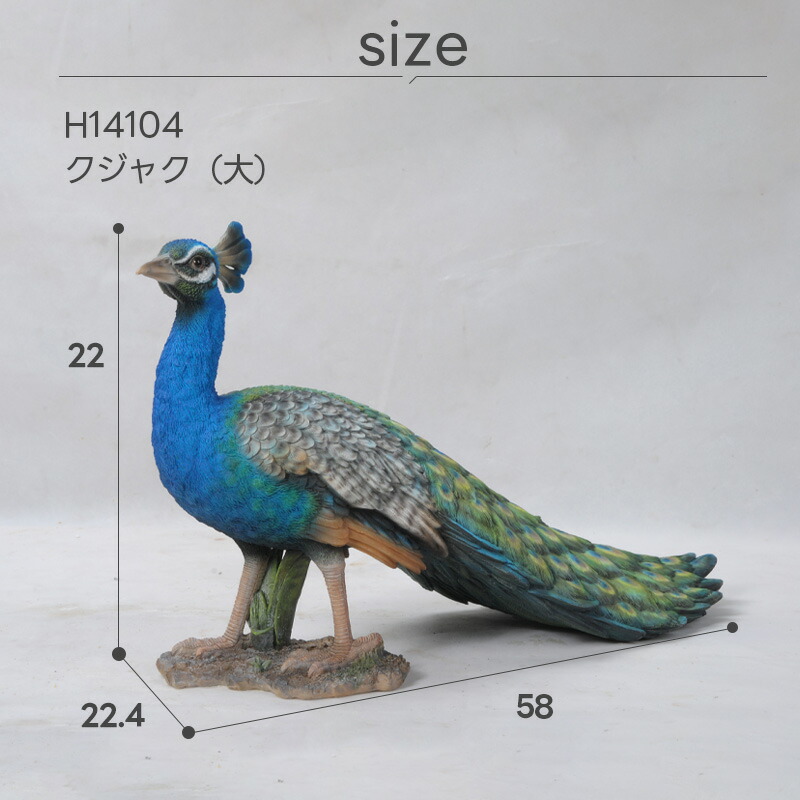 楽天市場】孔雀 クジャク くじゃく オブジェ オーナメント ガーデン