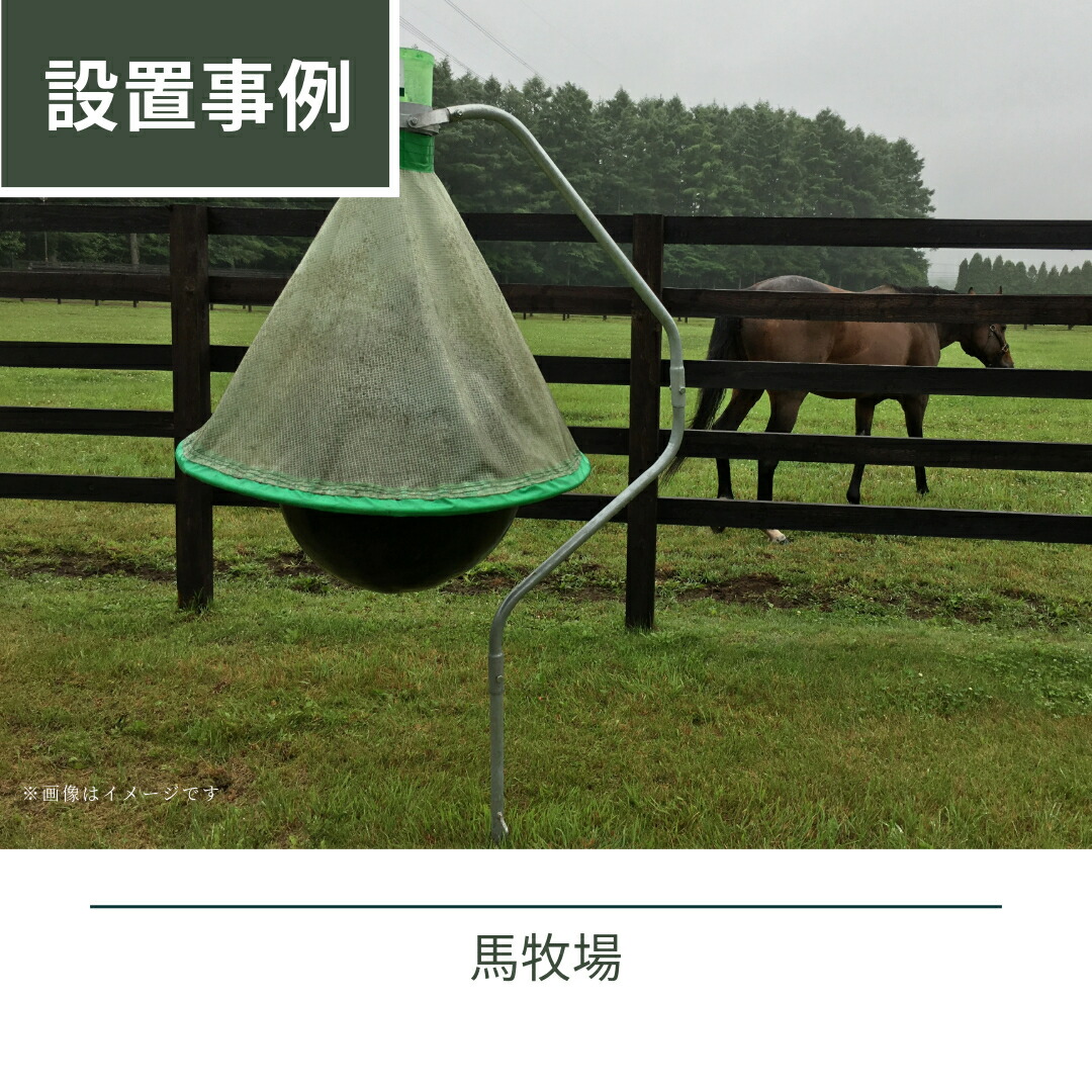 楽天市場】【 早期割キャンペーン+次回購入に使えるクーポン付き｜アブ