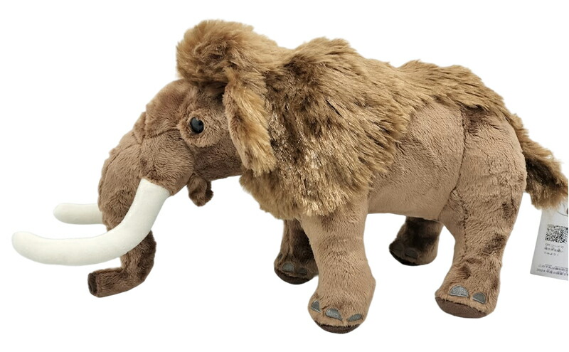 楽天市場】【ふるさと納税】[北海道幕別町]学芸員監修＆子どもたちと