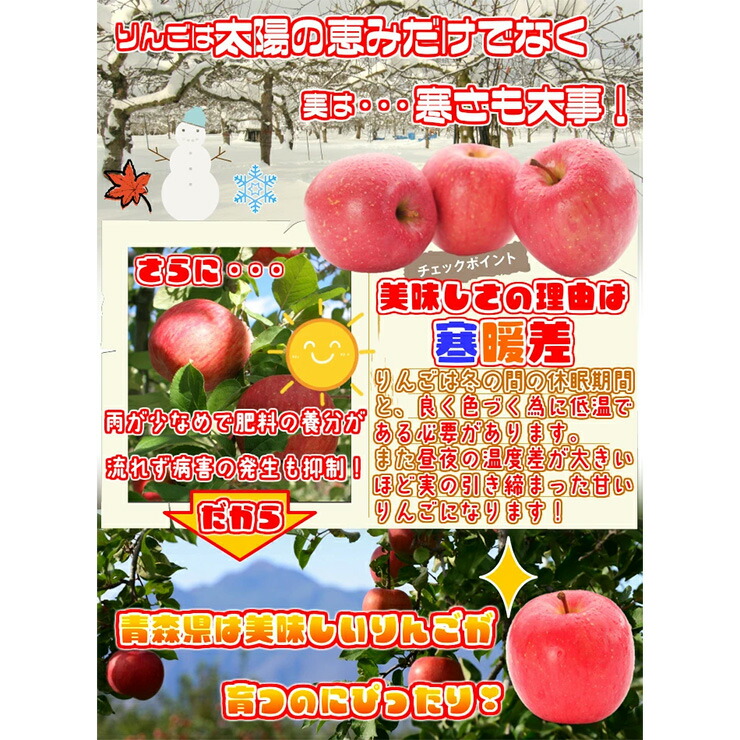 楽天市場】【ふるさと納税】家庭用りんご サンふじ 見た目にわけあり