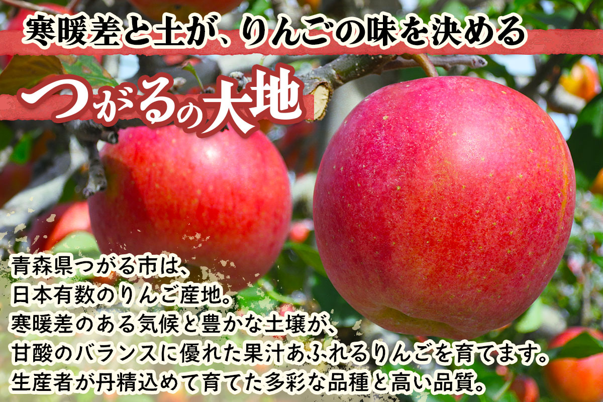 楽天市場】【ふるさと納税】家庭用りんご サンふじ 見た目にわけあり