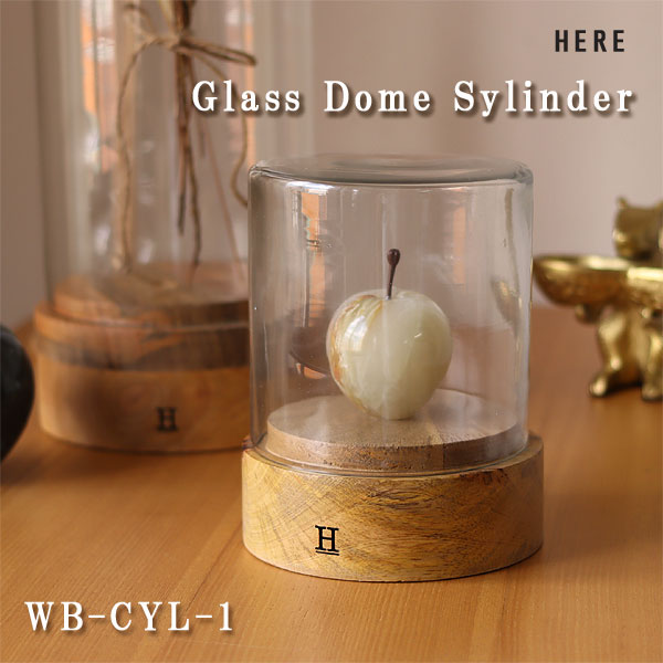 楽天市場】ガラスドーム シリンダー1【ディスプレイケース ガラス
