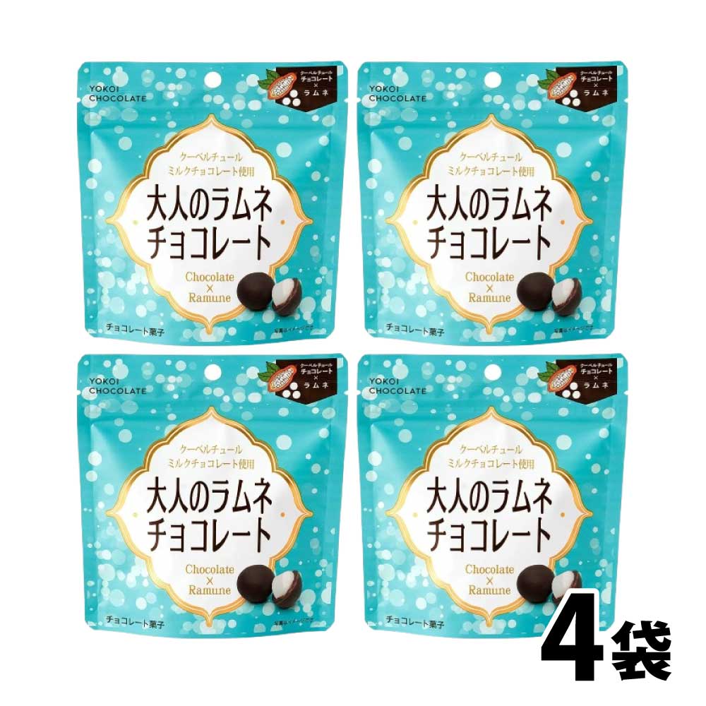 楽天市場】☆当店限定！クーポン祭開催中☆ 横井チョコレート 大人の