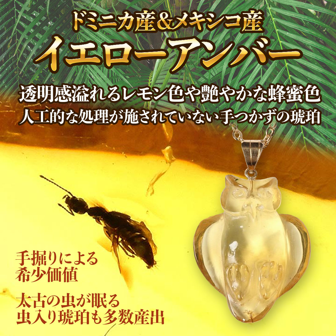 楽天市場】＼3月3日まで臨時休業中／化石 虫入り琥珀 ネックレス 羽蟻