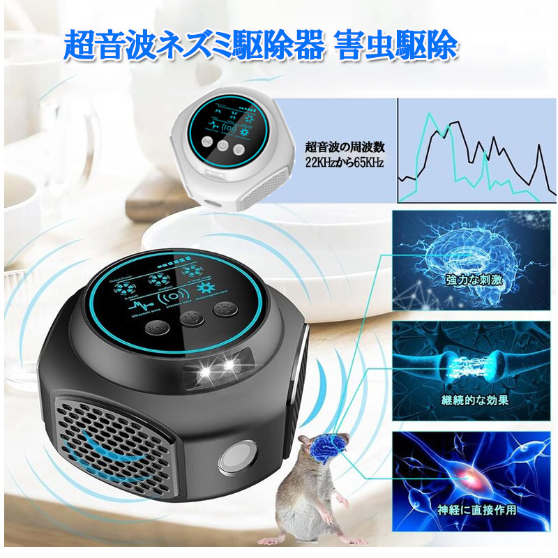 楽天市場】【P5倍 マラソン限定 更に最大2000円クーポンOFF】ネズミ