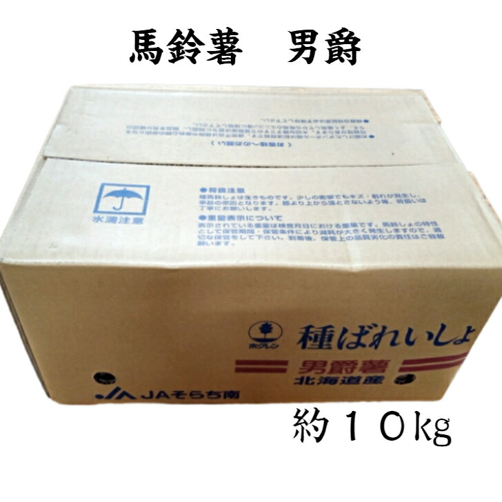 楽天市場】男爵 種芋 10kgの通販