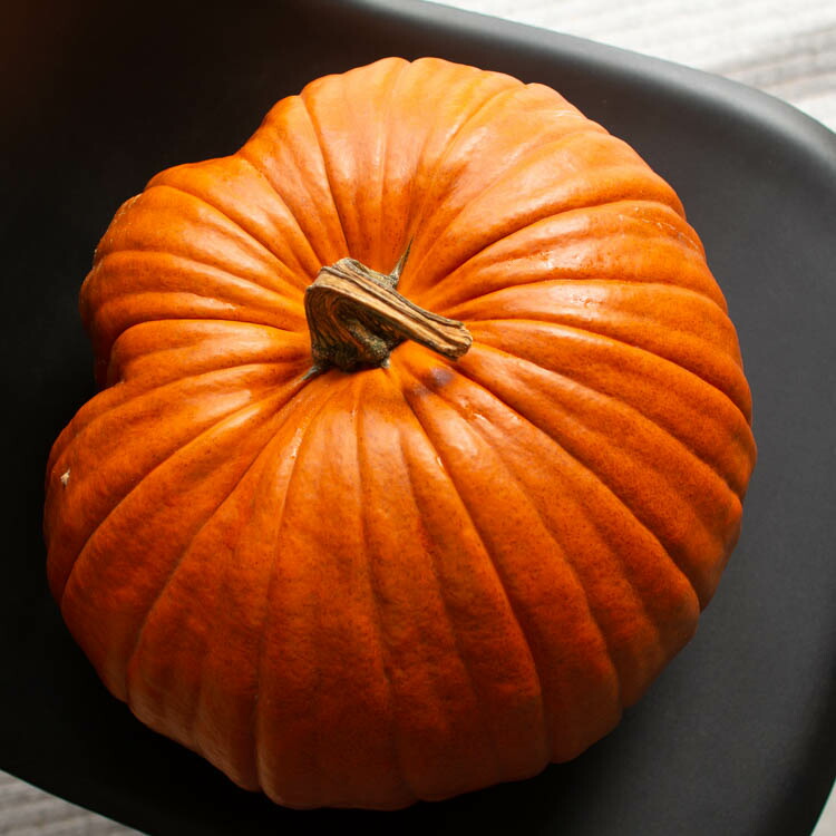 楽天市場】ハロウィン用 巨大 本物カボチャ 鑑賞用『 オータムオレンジ