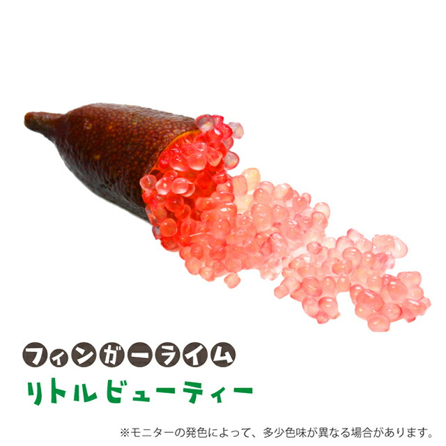 楽天市場】[楽天市場店限定価格] ◇グリGO!ガーデニング応援祭