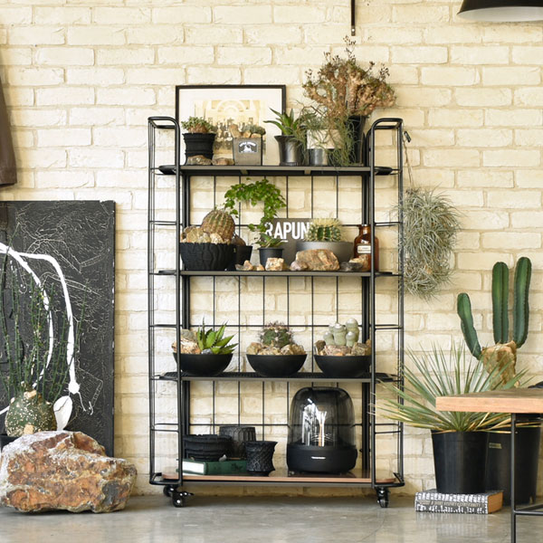 楽天市場】【マラソン限定!確率1/2で最大100％ポイントバック】 [LD