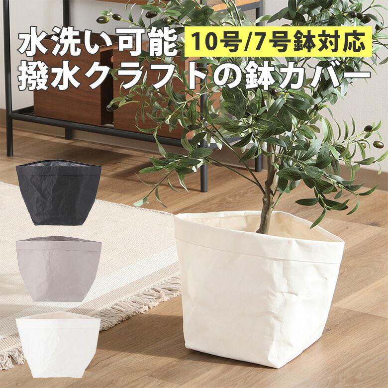 楽天市場】＼P10倍＆割引クーポン☆2/23(月)まで／【送料無料_a】鉢