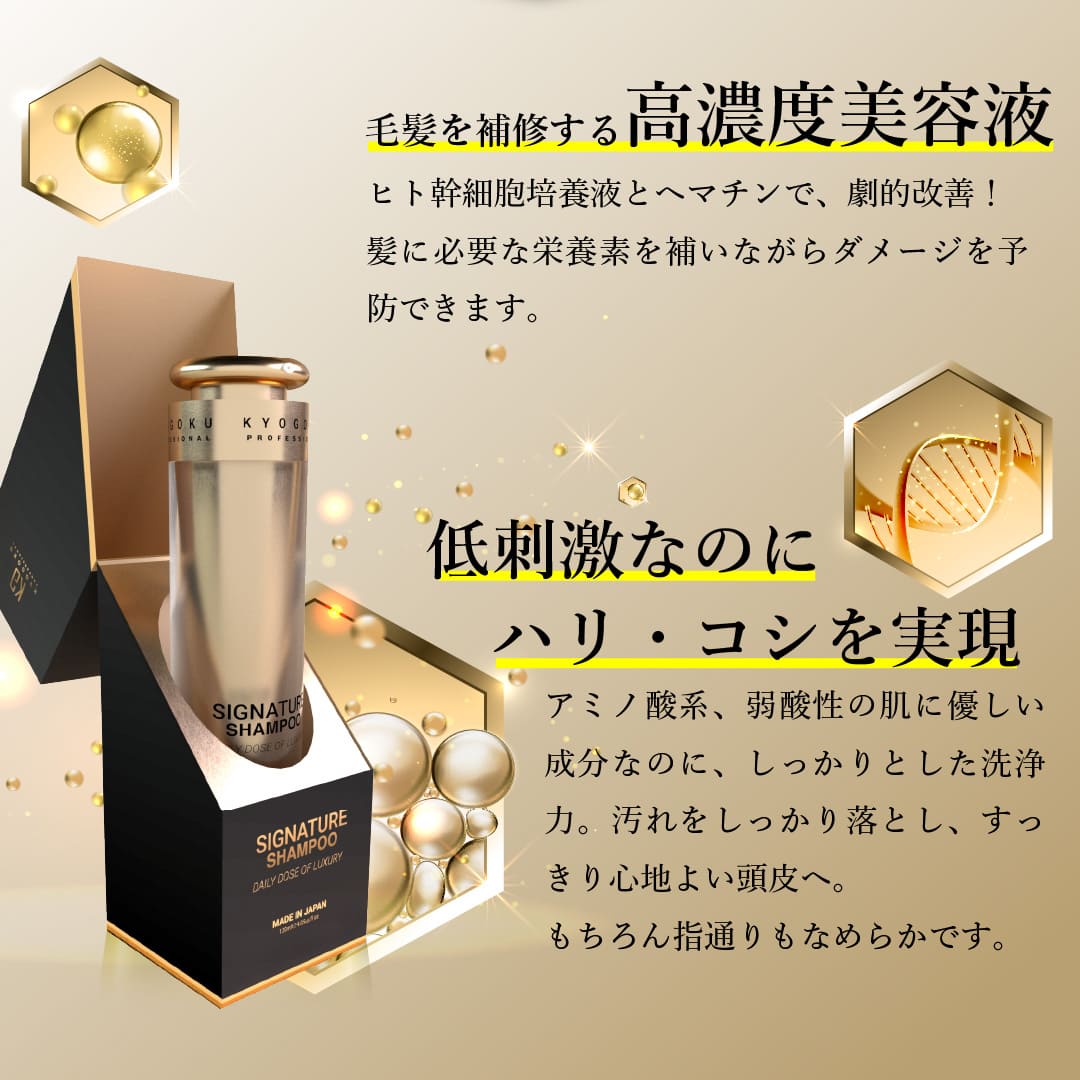 楽天市場】公式 クーポンで最大40%OFF 【 KYOGOKU シグネチャー