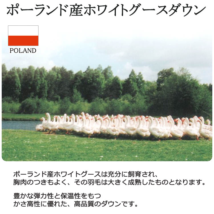 楽天市場】【2500円光触媒加工無料！】京都西川 ローズ 羽毛布団