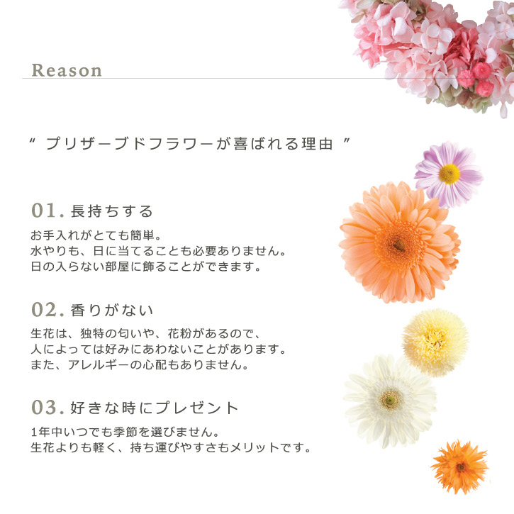 楽天市場】お正月飾り コットンフラワー しめ縄 リース ドライフラワー