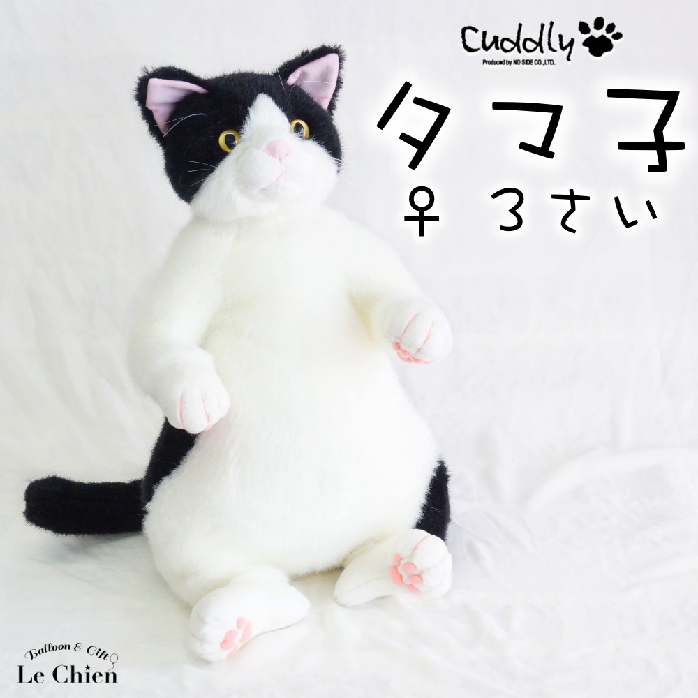 楽天市場】ぬいぐるみ 猫 【わさ美Wasabi】Cuddly カドリー）こだわり