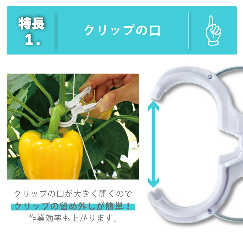 楽天市場】【100%ポイントバック エントリー＆抽選2/25まで】200個